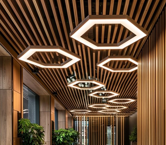Designer Ceilings